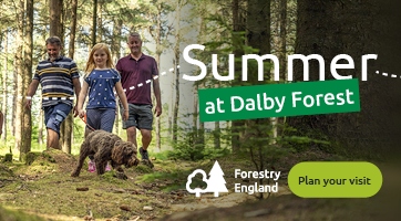 Forestry England - Summer at Dalby Forest