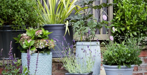 Gardening Trends for 2019