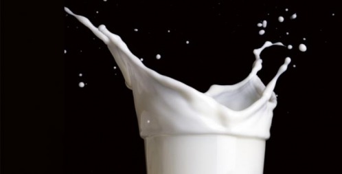 Why Raw and Unpasteurised Milk is Back on the Menu