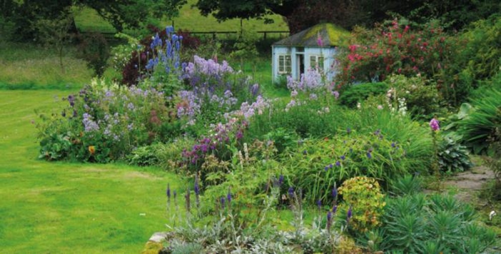 Garden with flowers and a little hut at the bottom