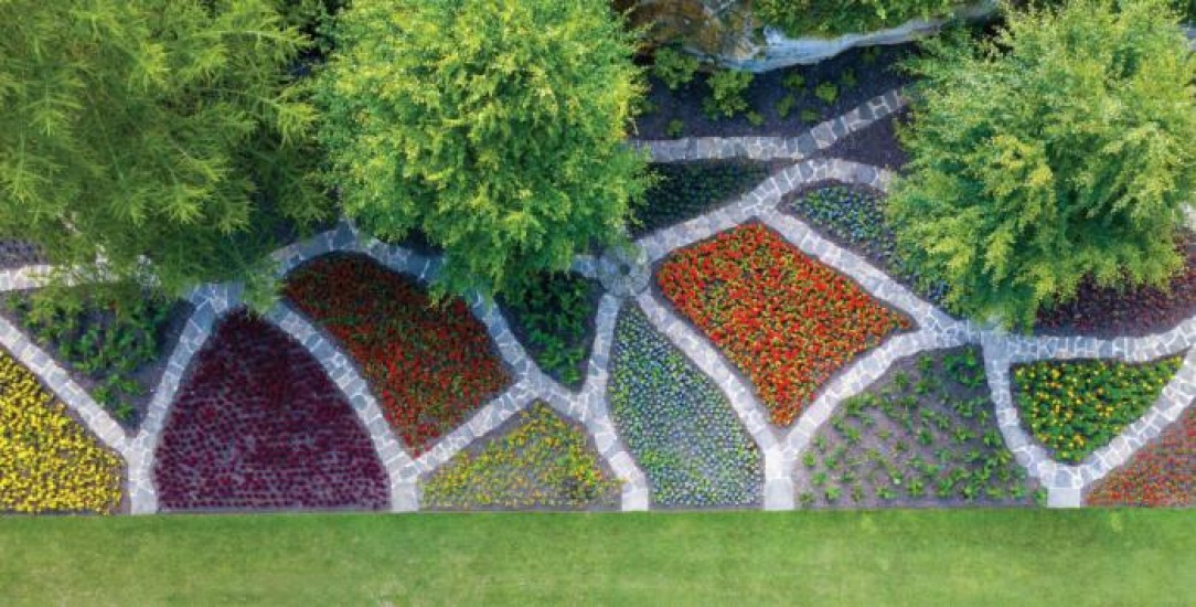 A colourful garden