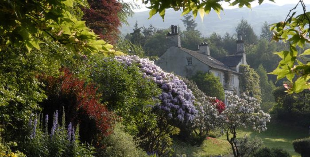 Greenery around a cottage in Cumbria