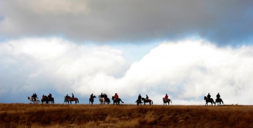 People riding horses
