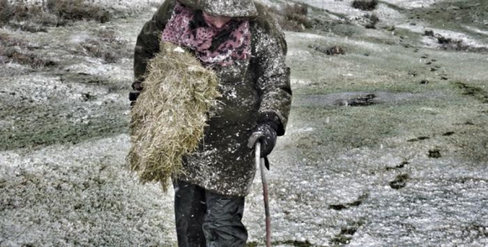 Farmer covered in snow