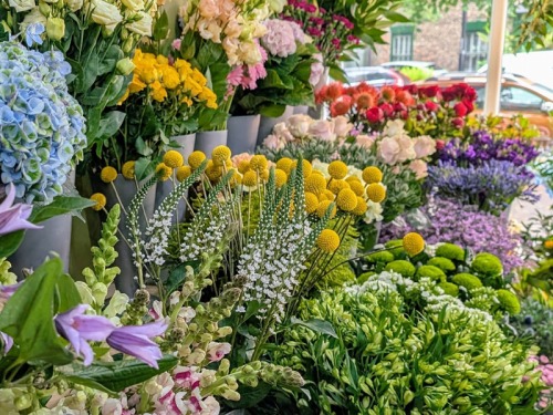 Our Favourite Flower Shops in the North East