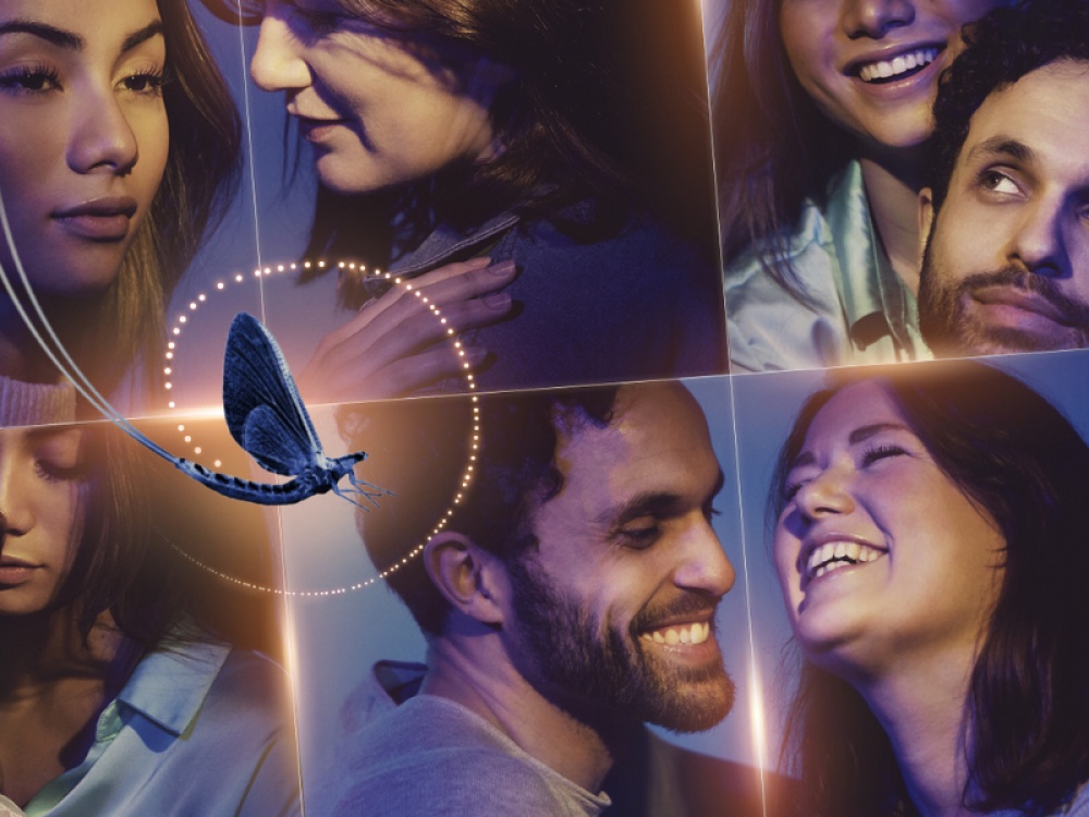 Mayflies, York Theatre Royal