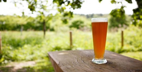 10 Top Of Beer Gardens