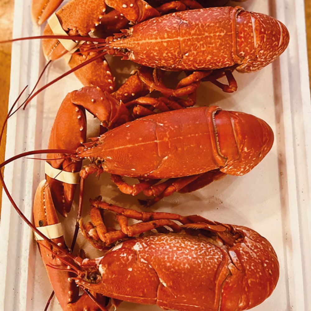 Lobsters on a tray