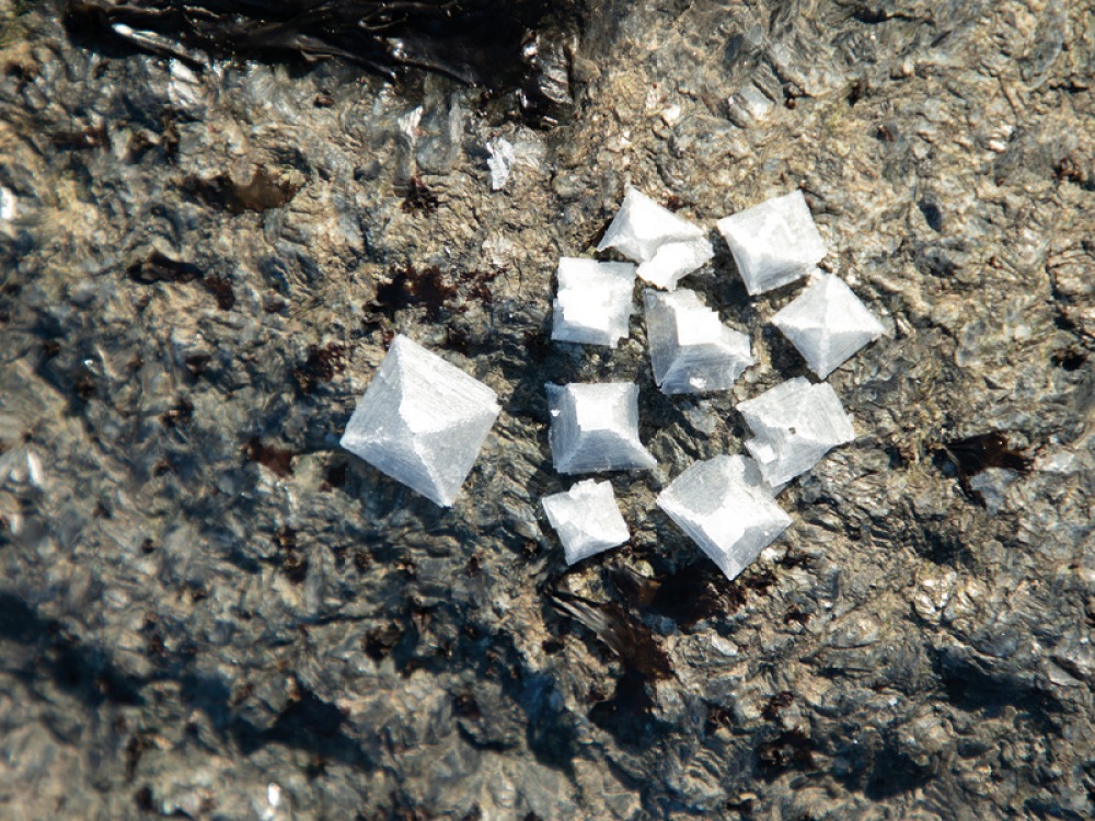 Sea salt on rocks