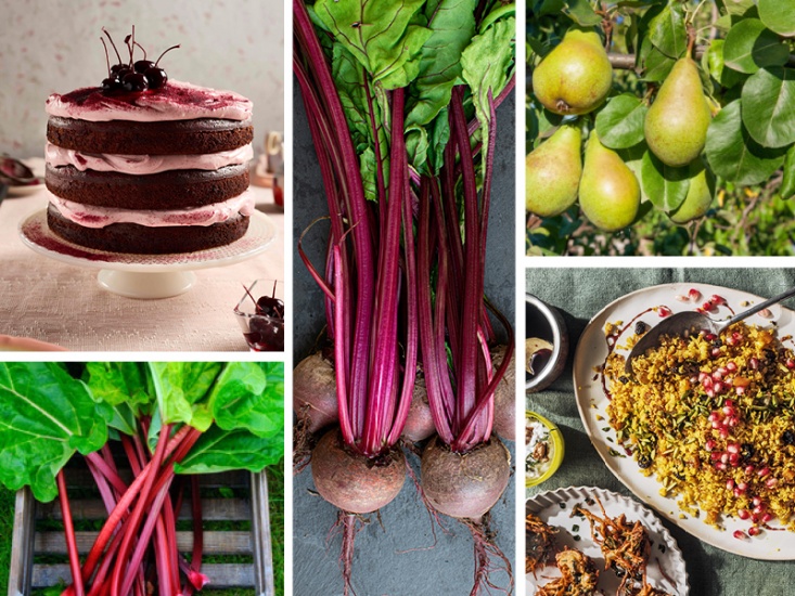 The Best Seasonal Ingredients For January and How to Use Them