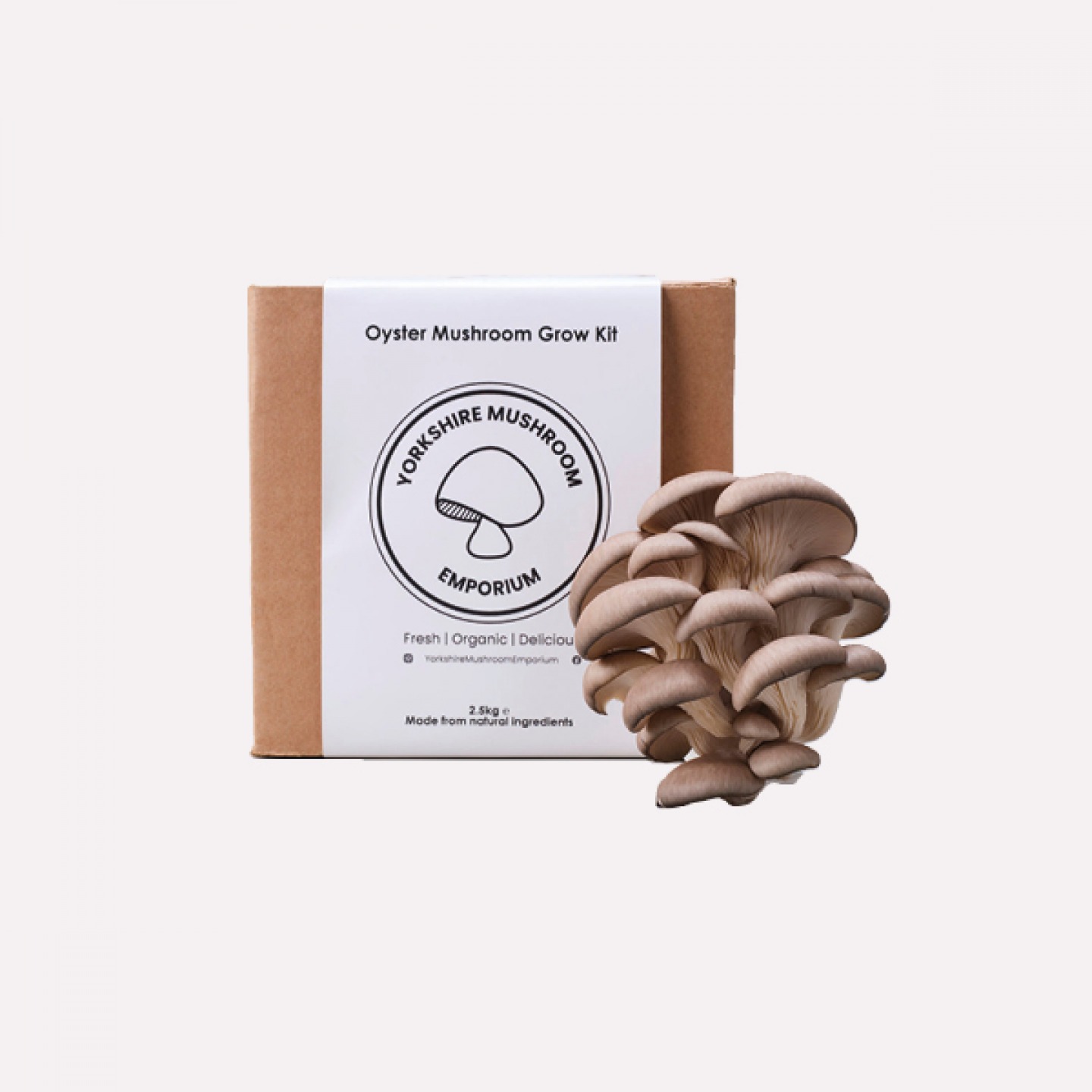 Grey Oyster Mushroom Grow Kit,