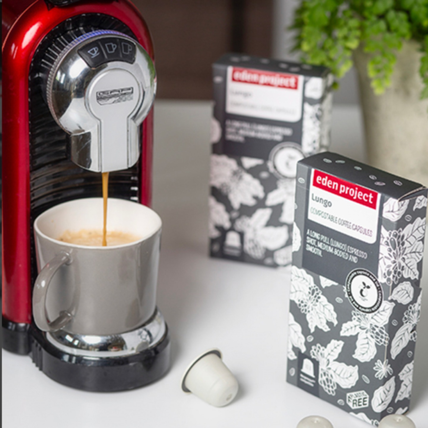 Eden Project Coffee Capsules Regular