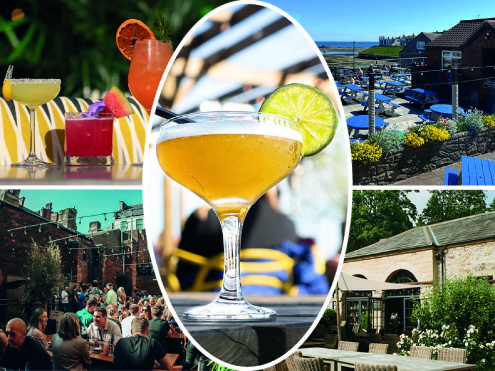 collage of featured entires