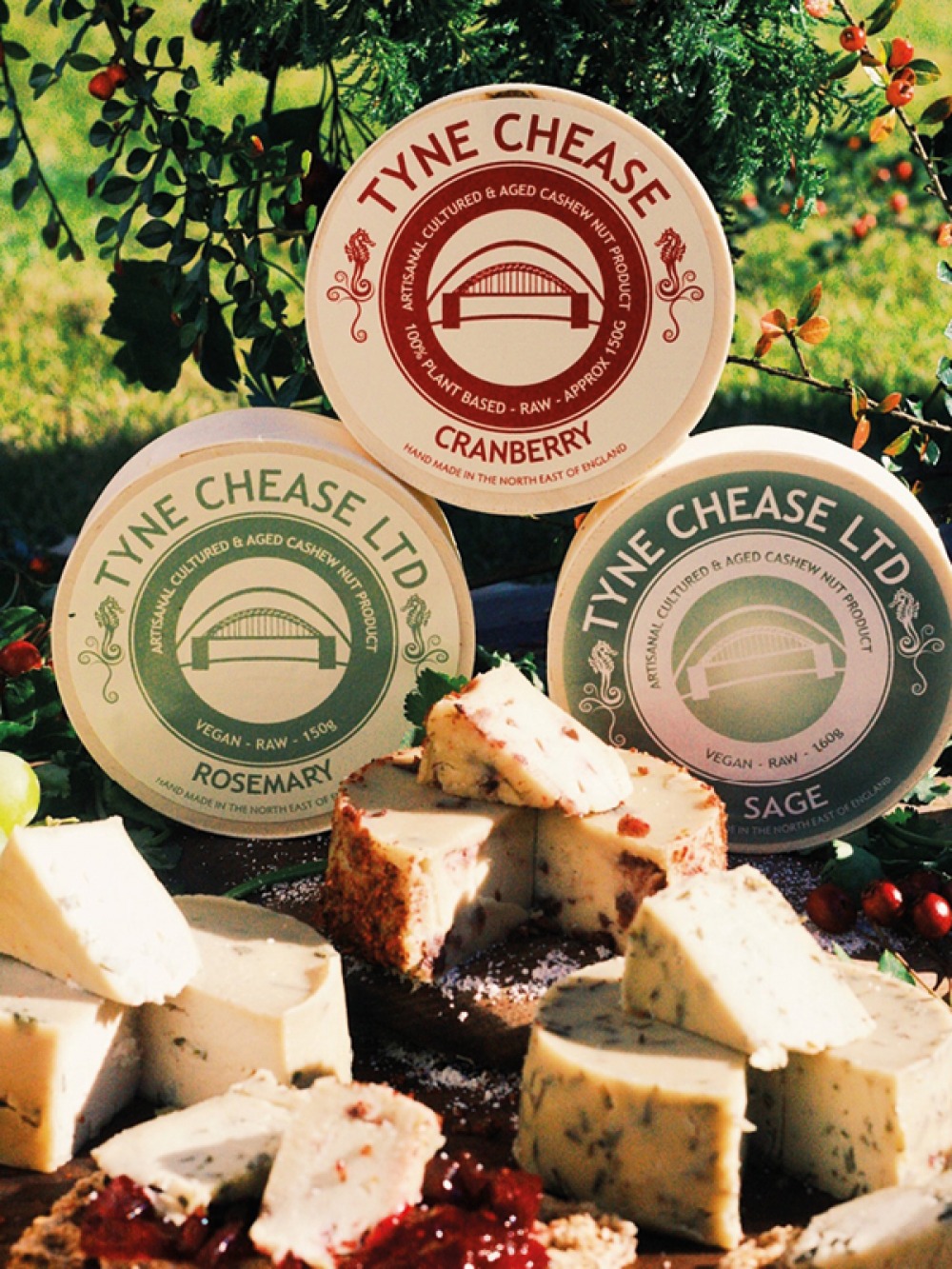 spread of cut round vegan cheese with 3 encased cheeses stacked in background