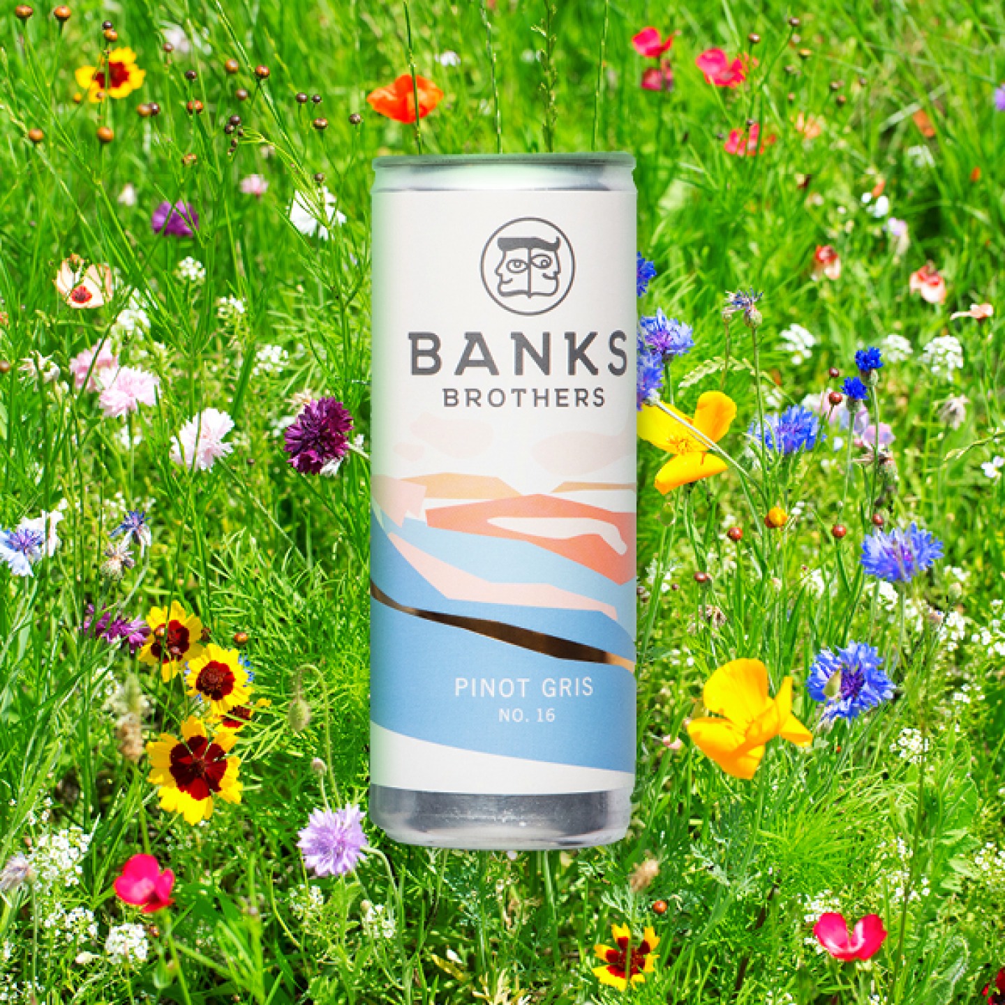 drinks can lying in grass and wild flowers