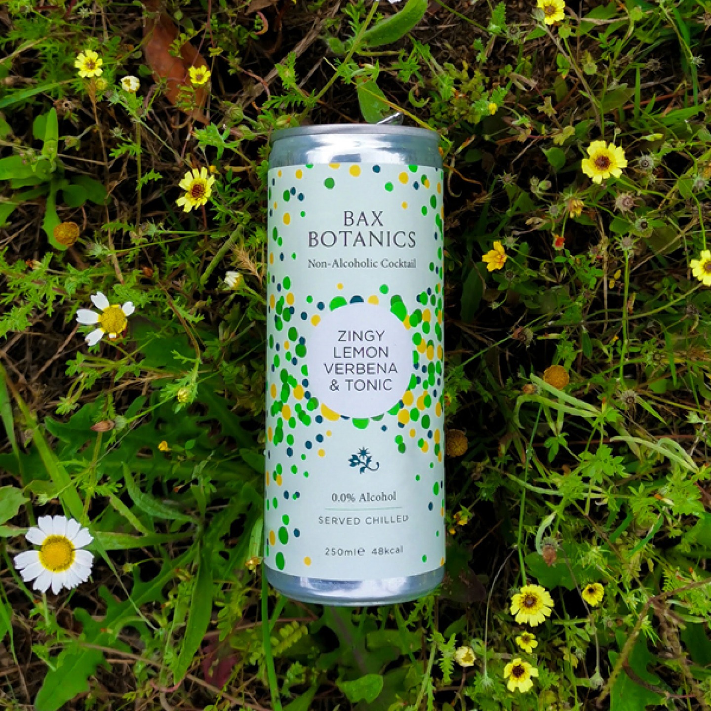 drinks can lying in grass and wild flowers