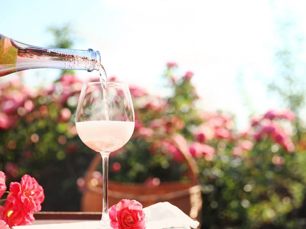 Vineyard