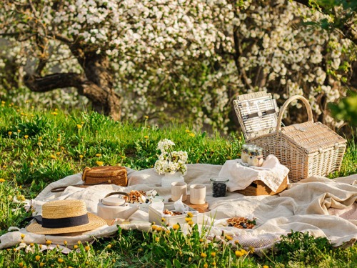 Perfect Picnic Picks to up Your Outdoor Dining Game
