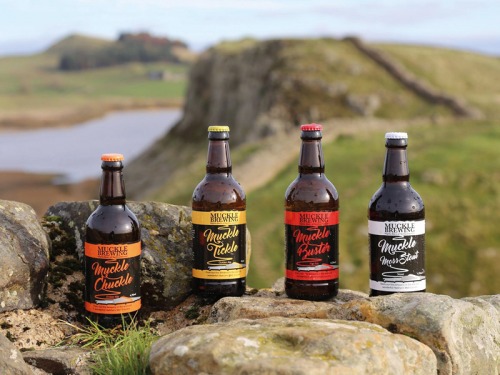 Discover the Finest Tipples from Exhibitors Heading to Living North's Christmas Fair at Newcastle Racecourse