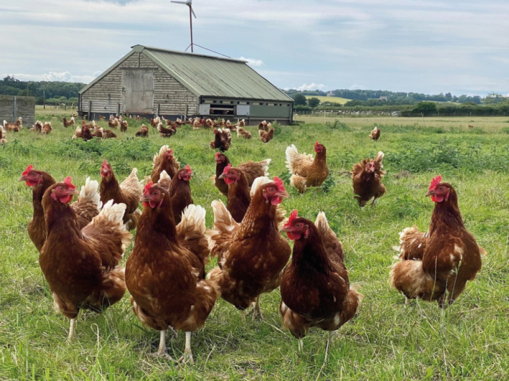 Our Favourite Farm Shops Across the North East