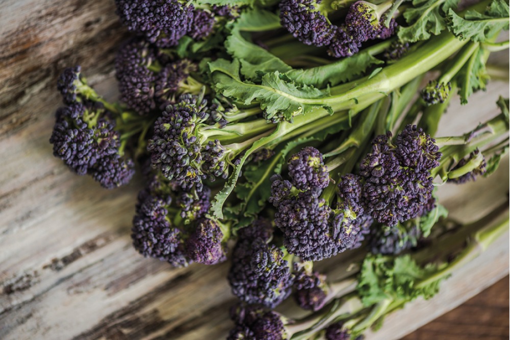 PURPLE SPROUTING BROCCOLI