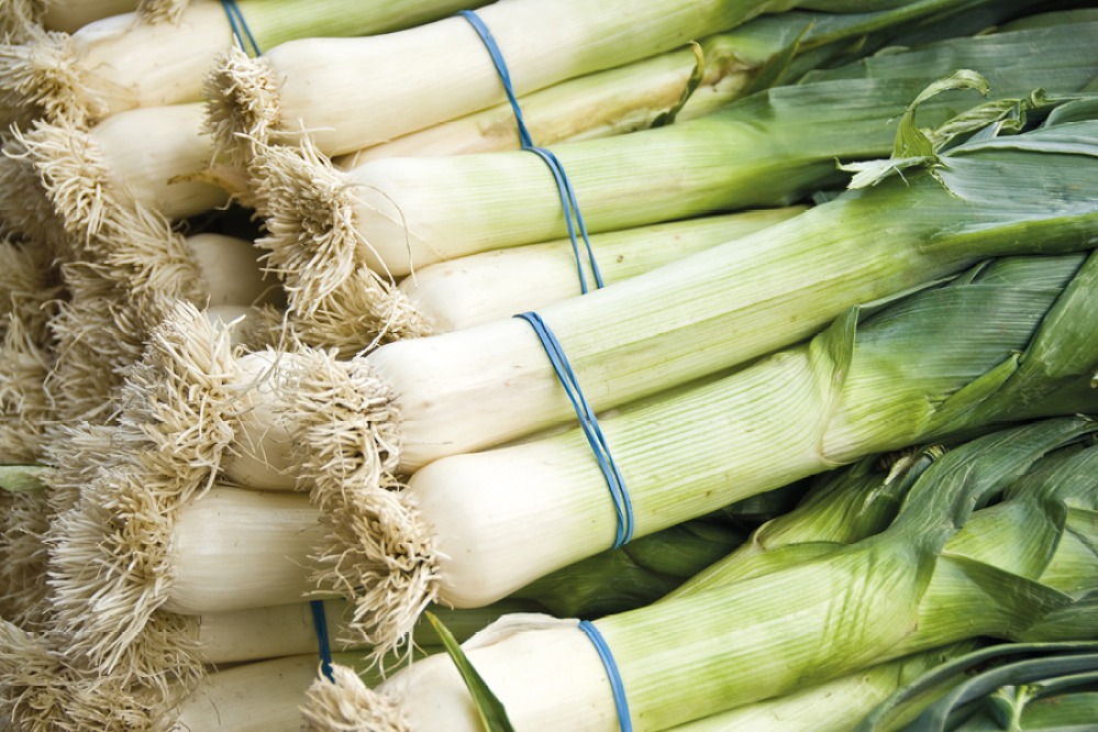LEEKS