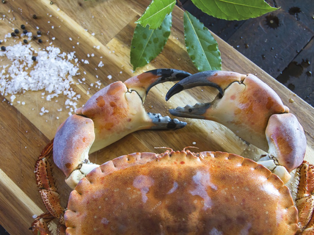 crab