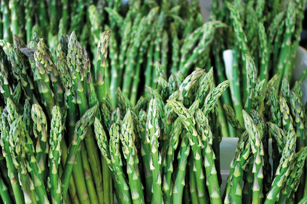 Asparagus
