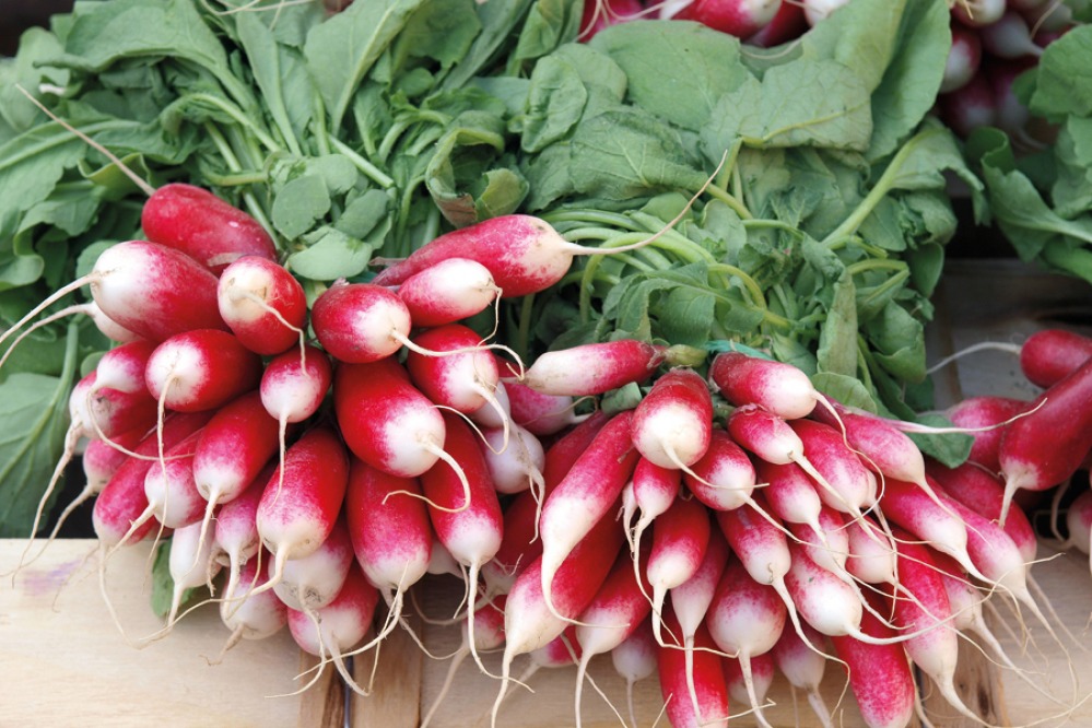 Radishes
