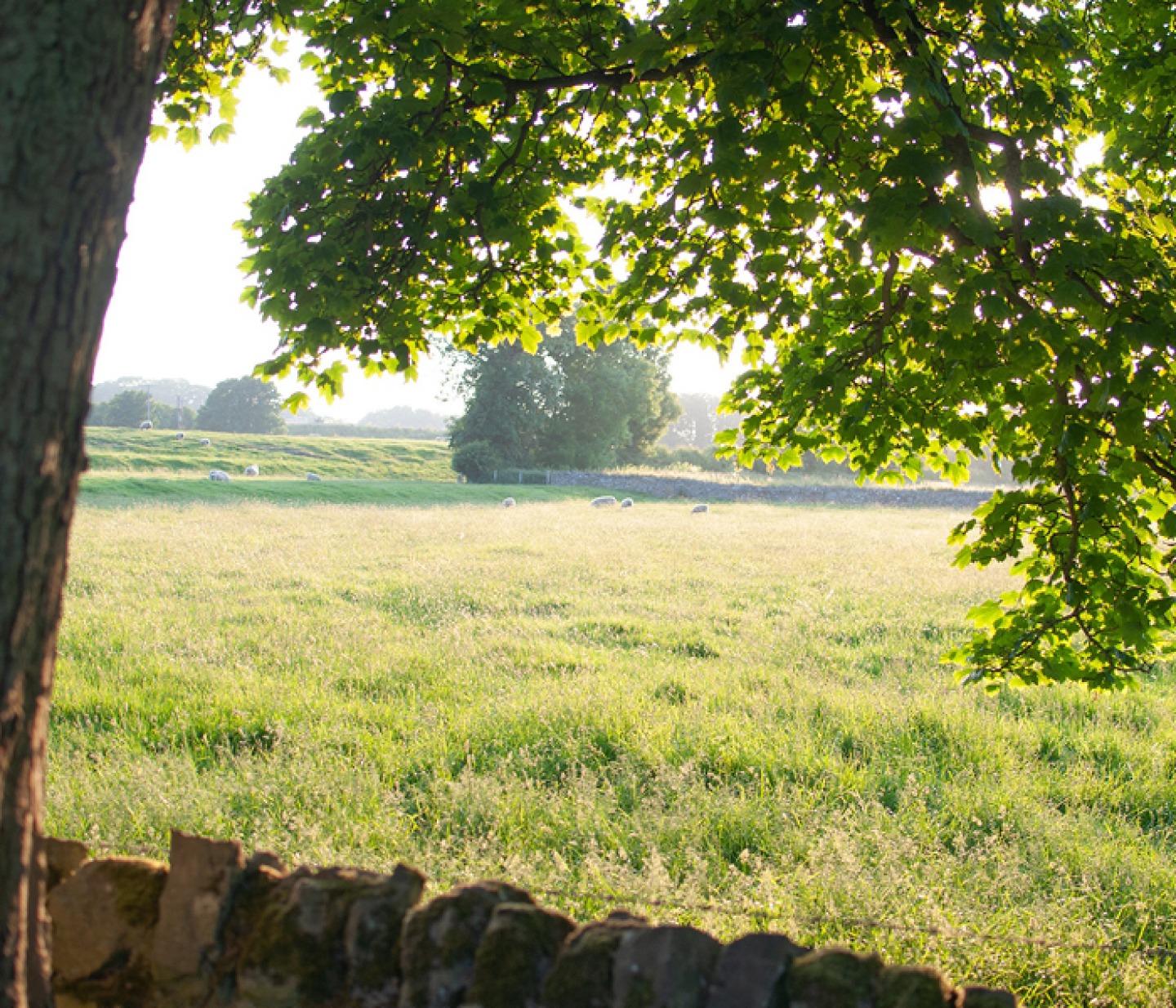 Views At Middleton Lodge Estate
