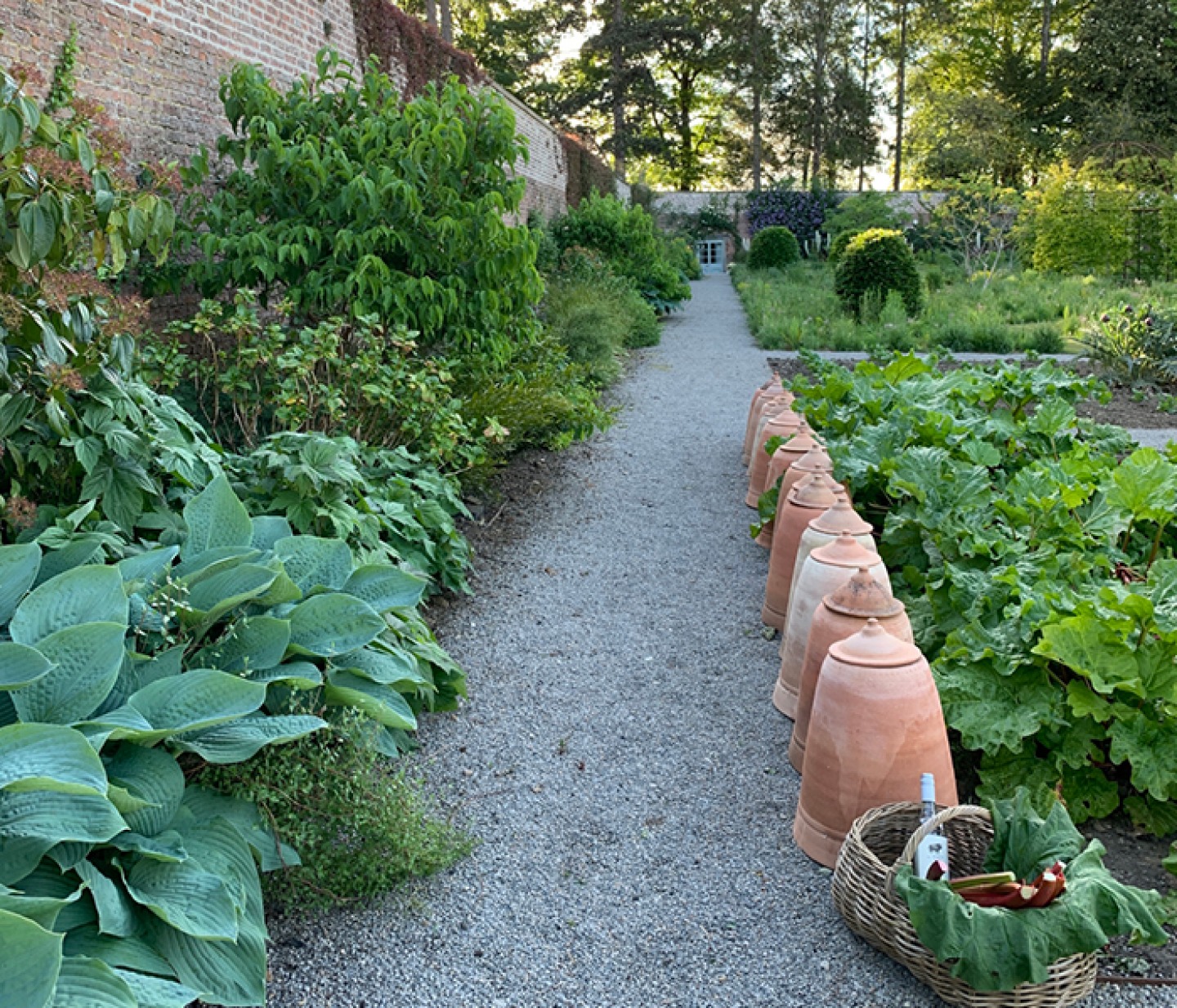 Walled Garden At Middleton Lodge Estate