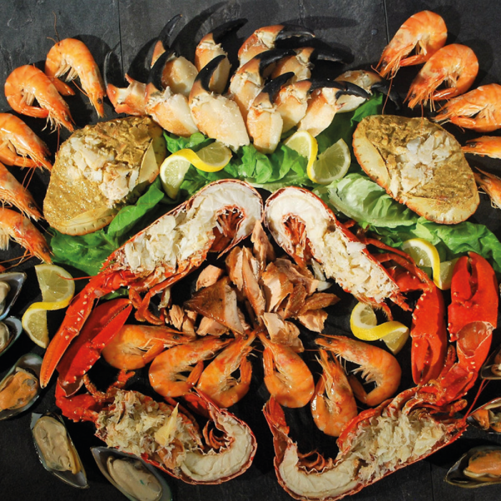 The Berwick Shellfish Co.