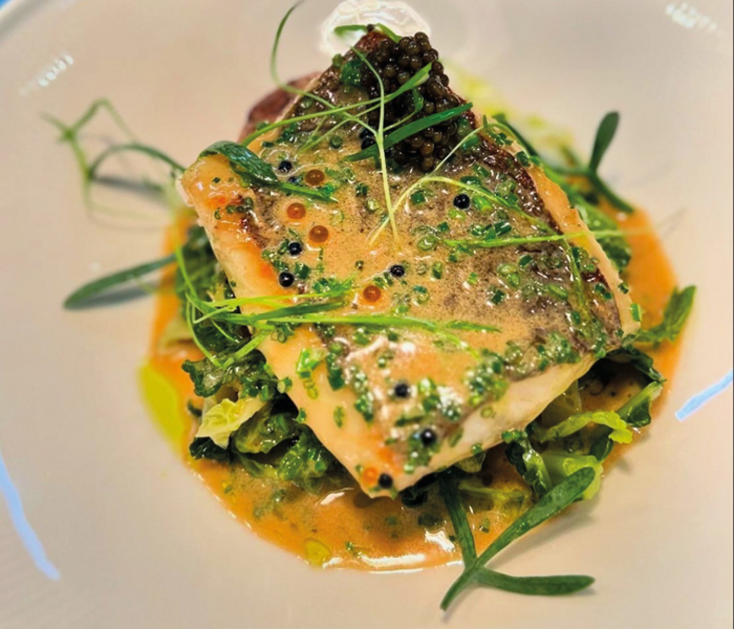 Fish dish at Hide