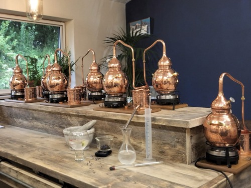 Discover Northumberland's Newest Distillery, Border Spirits & Botanicals