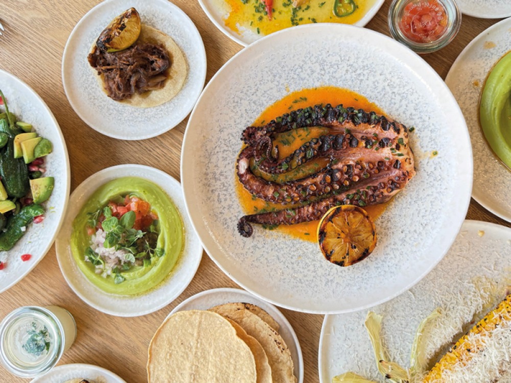 Mexican dishes including tacos, squid, guacamole and tortillas
