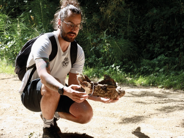 How By the Bay Mushrooms Became a Top Producer in the North East