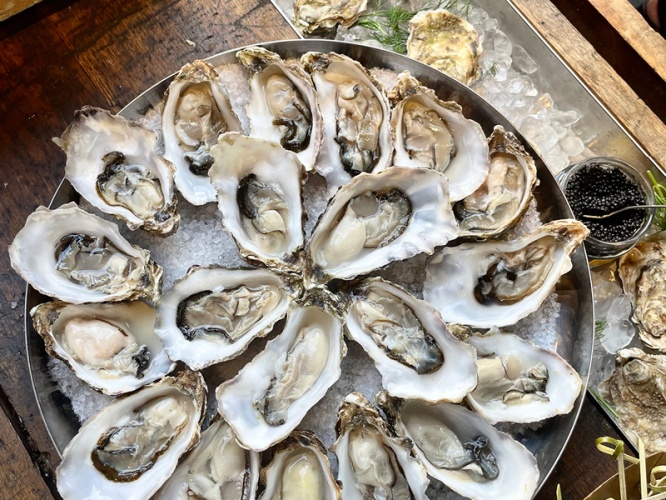 How this Pop-up is Bringing Fresh Oysters to North East Events