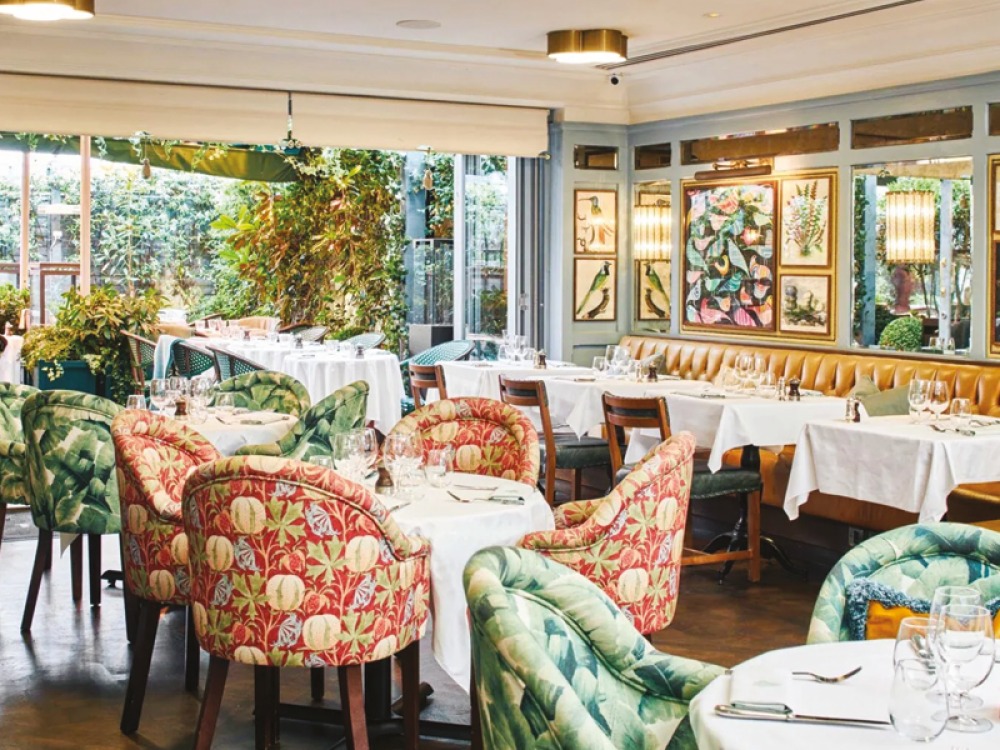 The Ivy  