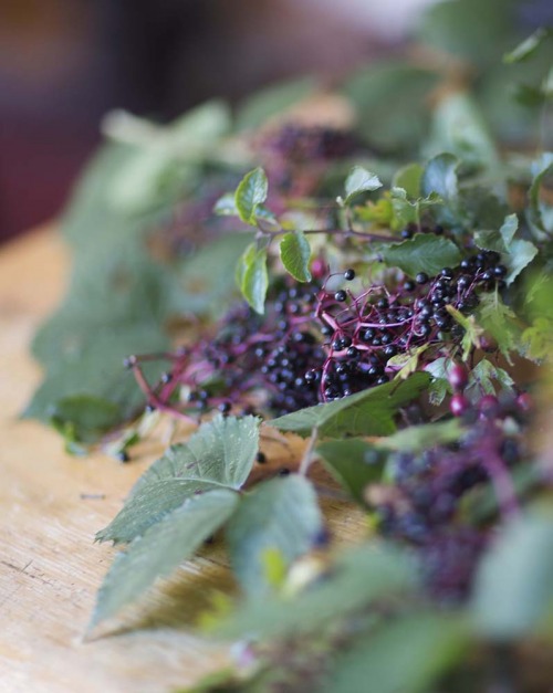 Black Swan at Oldstead, Tommy Banks