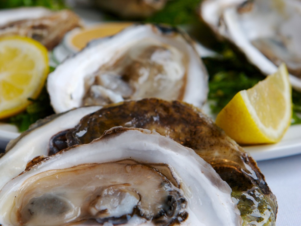Shell Shuckd Oyster Bar Oysters