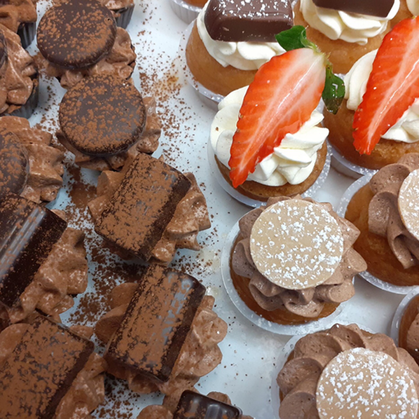Cabosse Chocolates