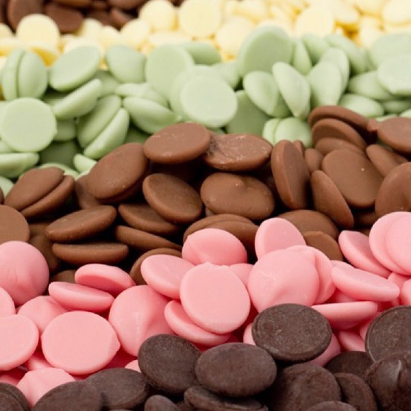 Cocoa Wonderland