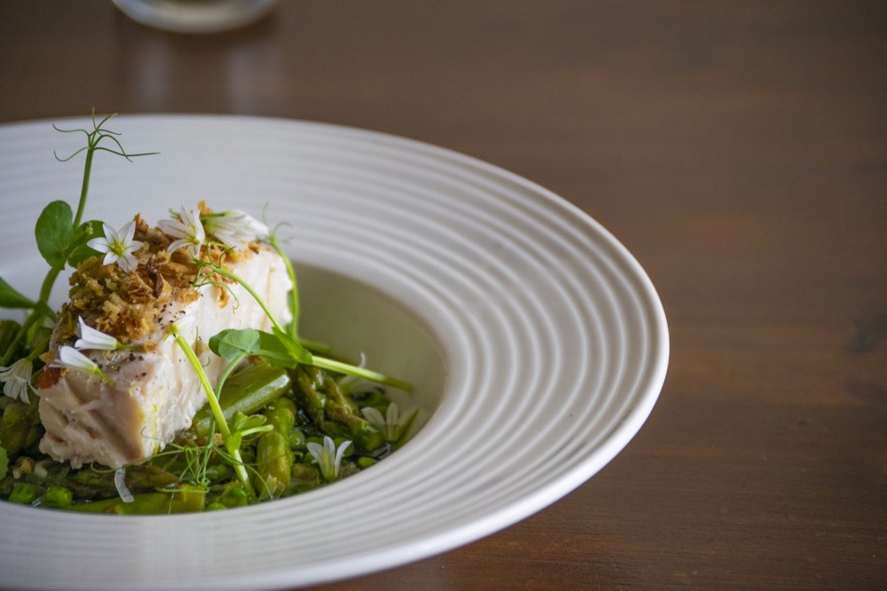 Fish dish at Fish & Forest