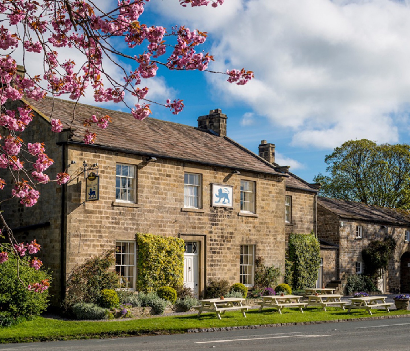 an English pub with a pink blossom tree on the left side