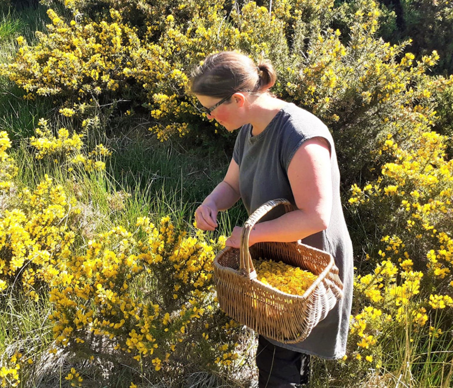 woman foraging