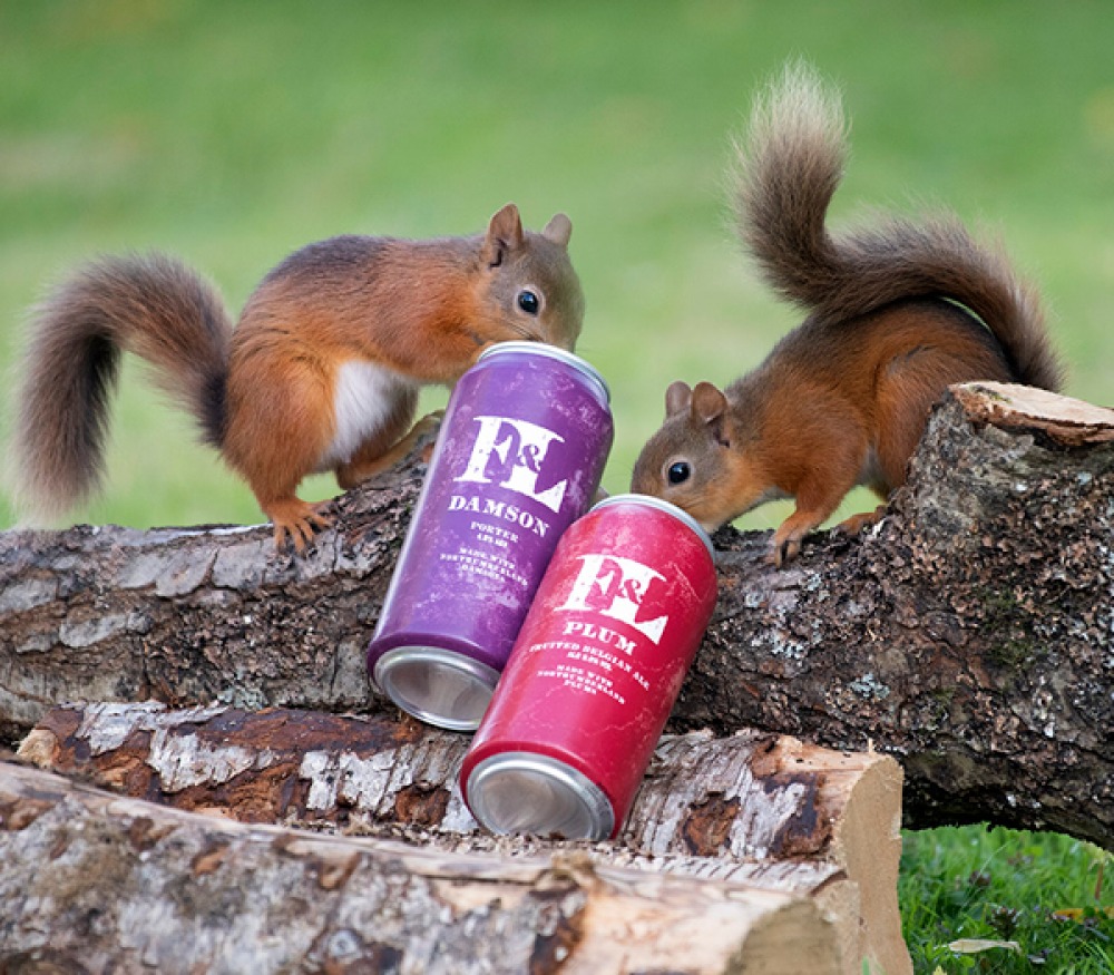 squirrels playing around 2 cans of beer