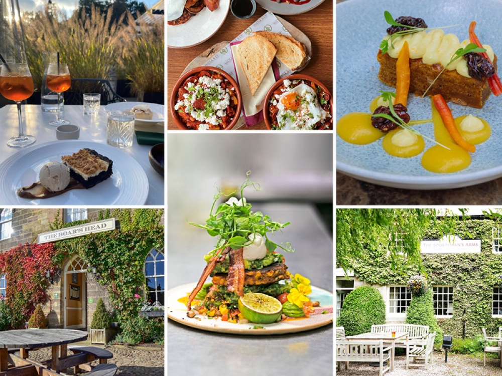 collage of food pictures