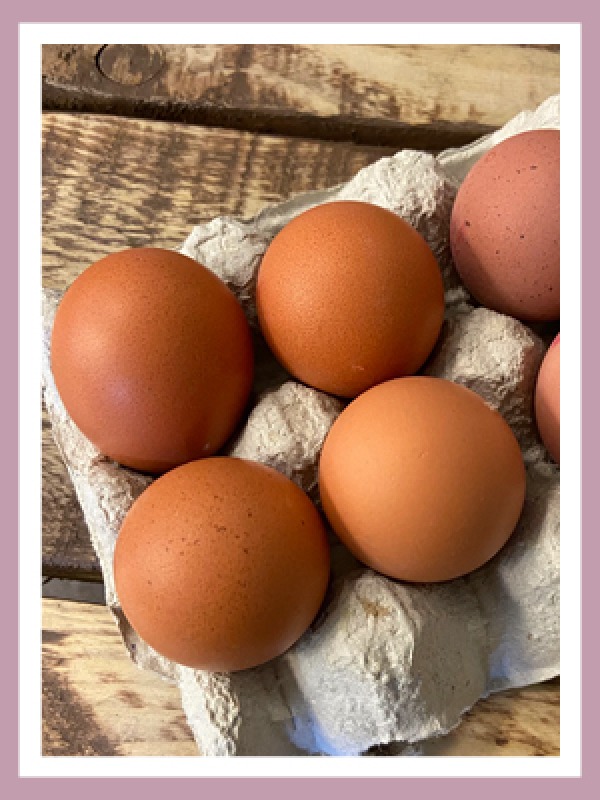 Six Farm Fresh Eggs