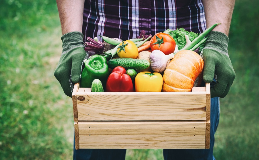 Celebrate Organic September With Fresh and Local Produce
