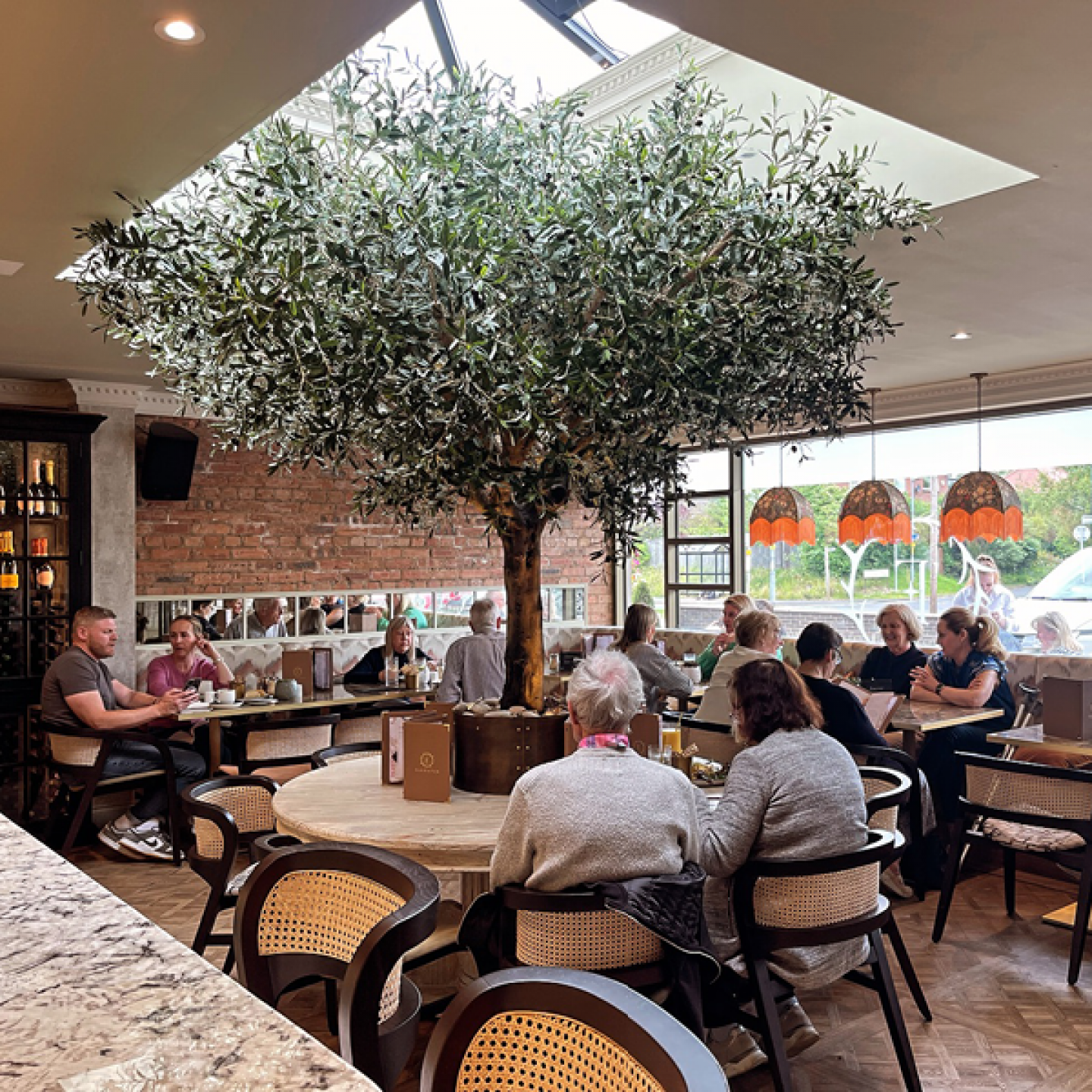 olive tree in restaurant